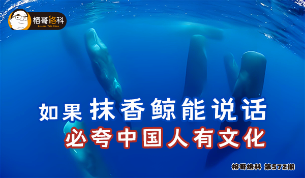 首页幻灯1